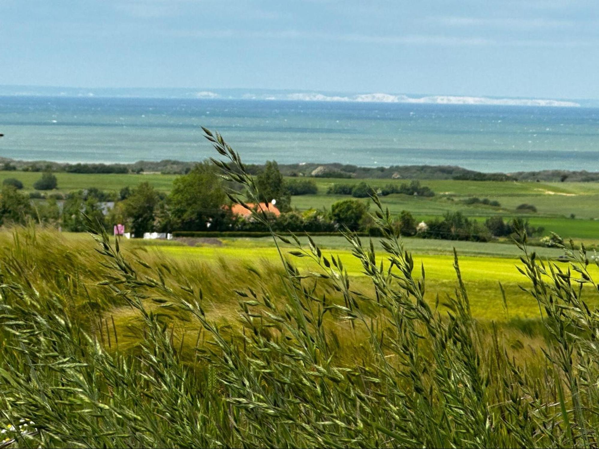 La Madrague Des 2 Caps Villa Audembert Dış mekan fotoğraf